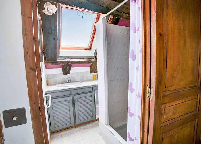 Maison Perigourdine 14 Personnes Avec Piscine Busserolles